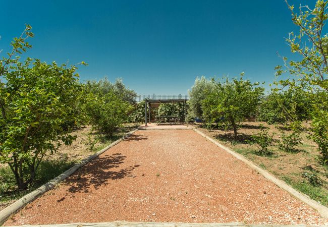 Villa in Marrakech - Salamouni Villa in Marrakech - Salamouni