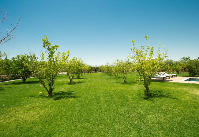Villa in Marrakech - Salamouni Villa in Marrakech - Salamouni