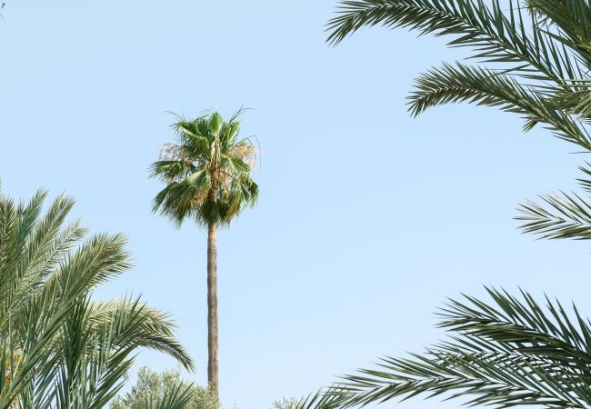 Villa in Marrakech - Dar Adnaa Villa in Marrakech - Dar Adnaa