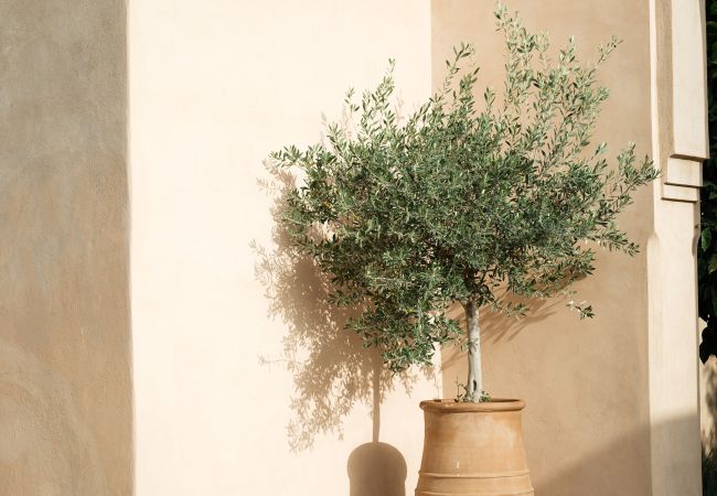 Villa in Marrakech - Dar Adnaa Villa in Marrakech - Dar Adnaa