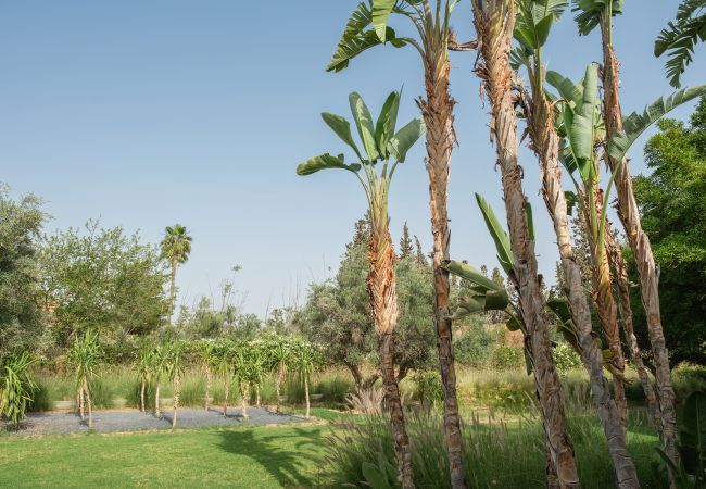 Villa in Marrakech - Dar Adnaa Villa in Marrakech - Dar Adnaa
