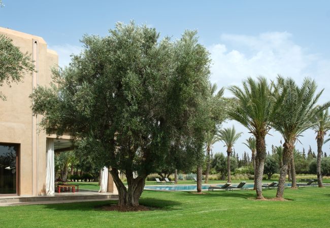 Villa in Marrakech - Dar Adnaa Villa in Marrakech - Dar Adnaa