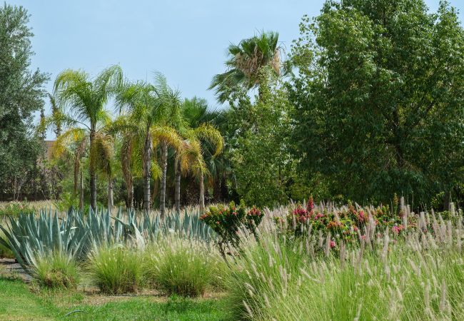 Villa in Marrakech - Dar Adnaa Villa in Marrakech - Dar Adnaa