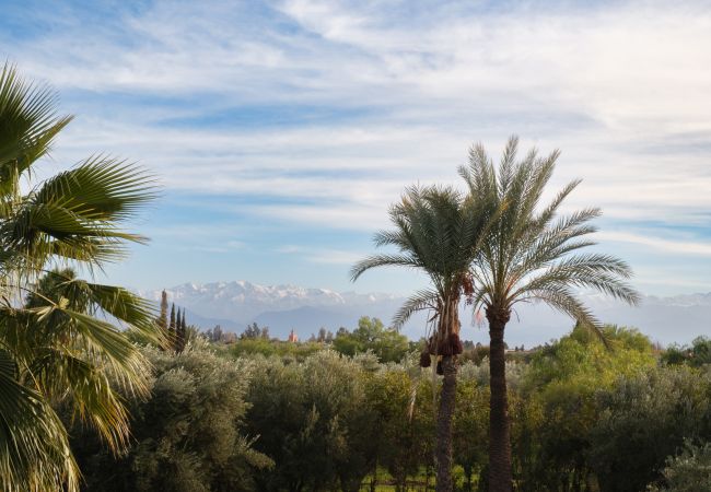 Villa in Marrakech - Grace Villa in Marrakech - Grace
