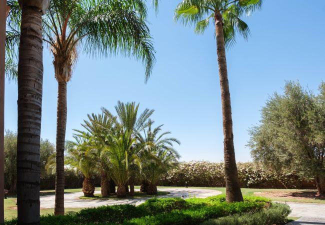 Villa in Marrakech - Mexance Villa in Marrakech - Mexance