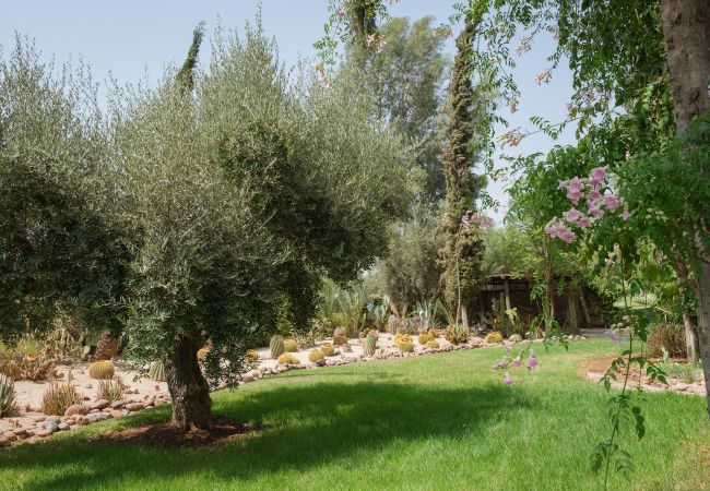 Villa in Marrakech Palmeraie - Yenmoz Villa in Marrakech Palmeraie - Yenmoz