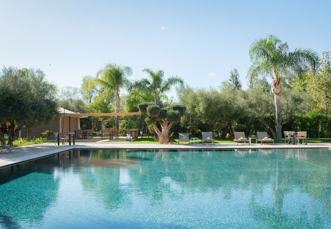 Villa in Marrakech - DKZ Villa in Marrakech - DKZ