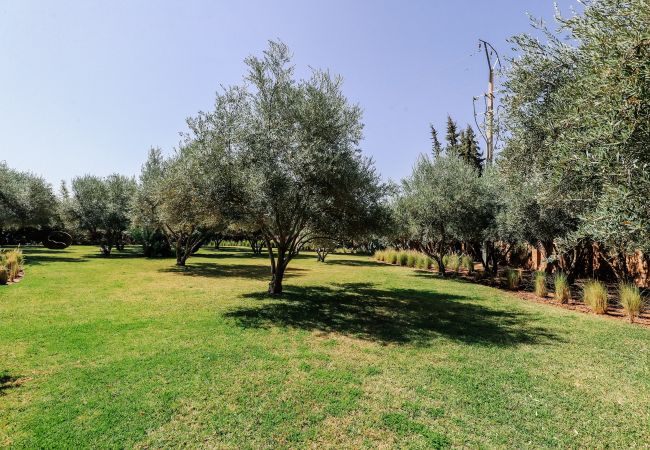 Villa in Marrakech - Zitouna 6 Villa in Marrakech - Zitouna 6