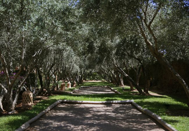 Villa in Marrakech - Dar Neylla Villa in Marrakech - Dar Neylla