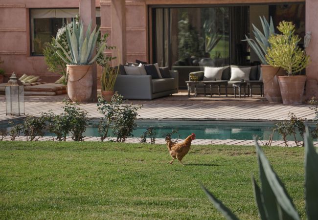Villa in Marrakech - MISH-MISH Villa in Marrakech - MISH-MISH