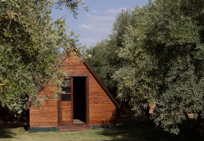 Villa in Marrakech - MISH-MISH Villa in Marrakech - MISH-MISH