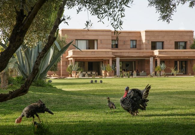 Villa in Marrakech - MISH-MISH Villa in Marrakech - MISH-MISH