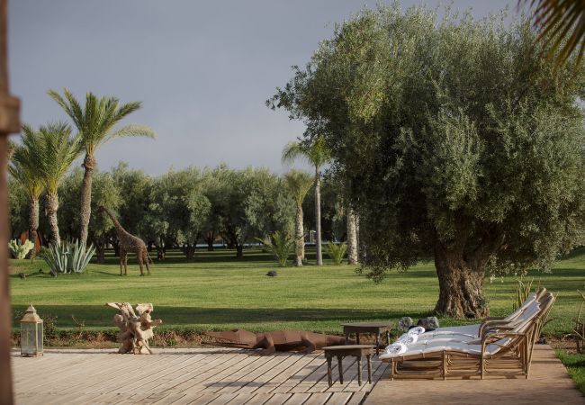 Villa in Marrakech - MISH-MISH Villa in Marrakech - MISH-MISH
