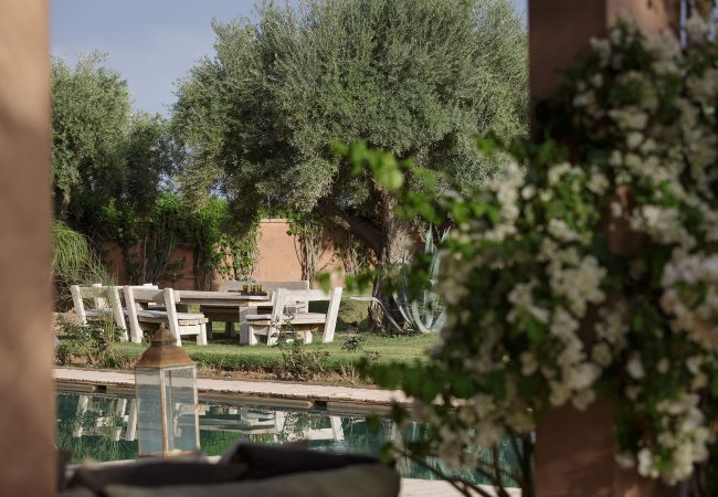 Villa in Marrakech - MISH-MISH Villa in Marrakech - MISH-MISH