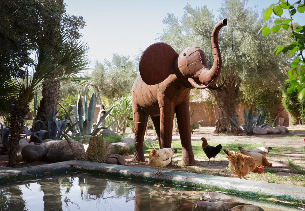 Villa in Marrakech - MISH-MISH Villa in Marrakech - MISH-MISH