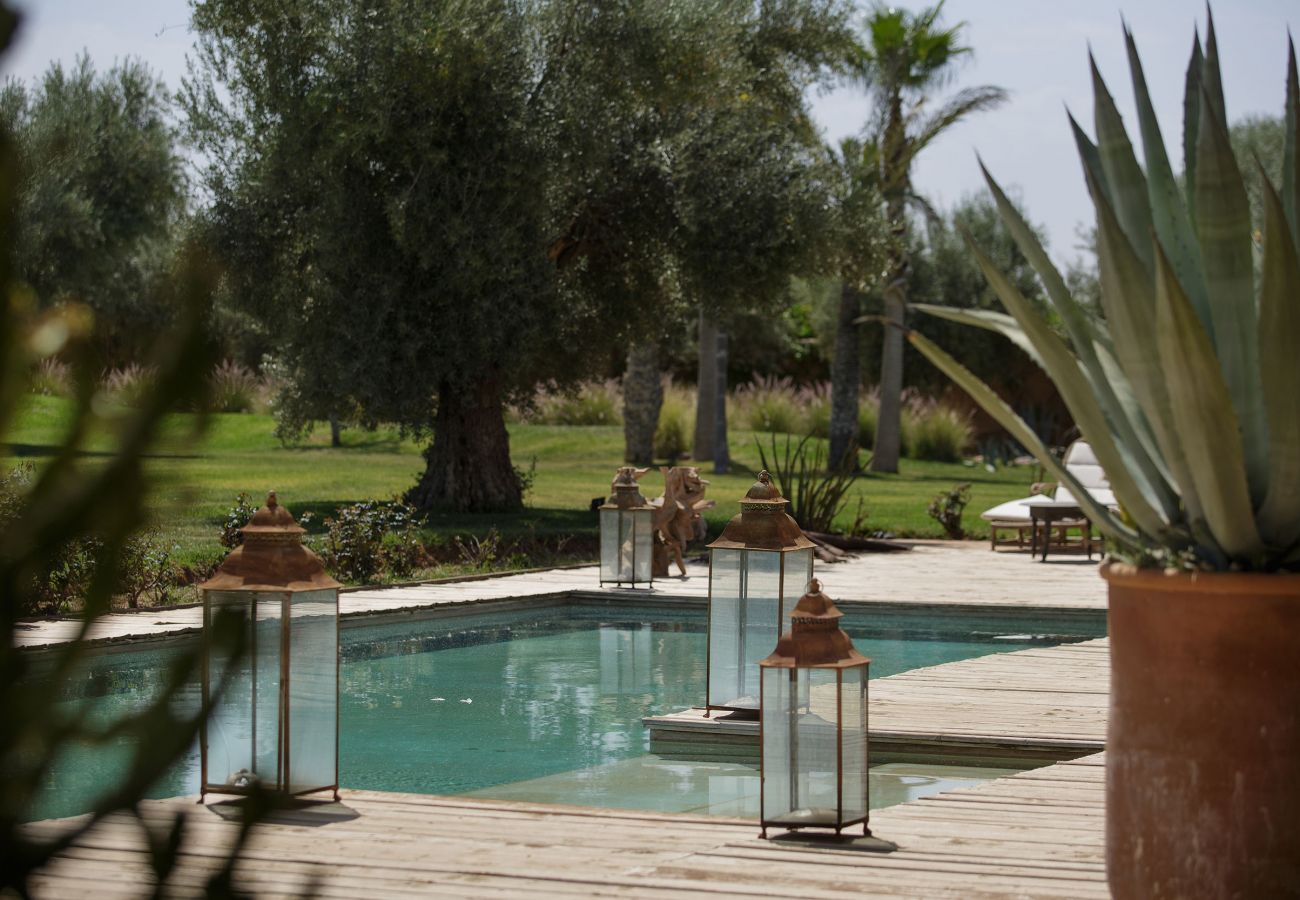 Villa in Marrakech - MISH-MISH Villa in Marrakech - MISH-MISH