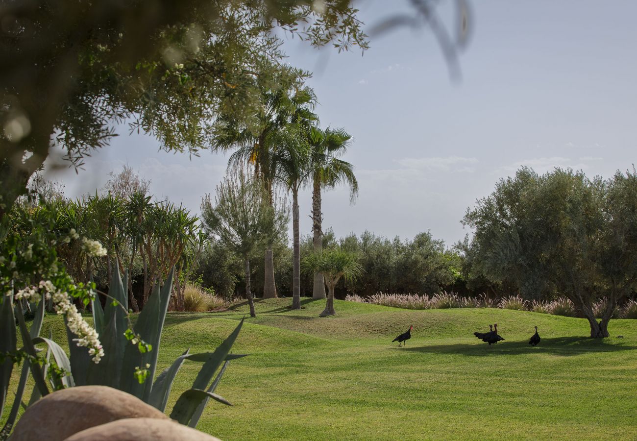 Villa in Marrakech - MISH-MISH Villa in Marrakech - MISH-MISH