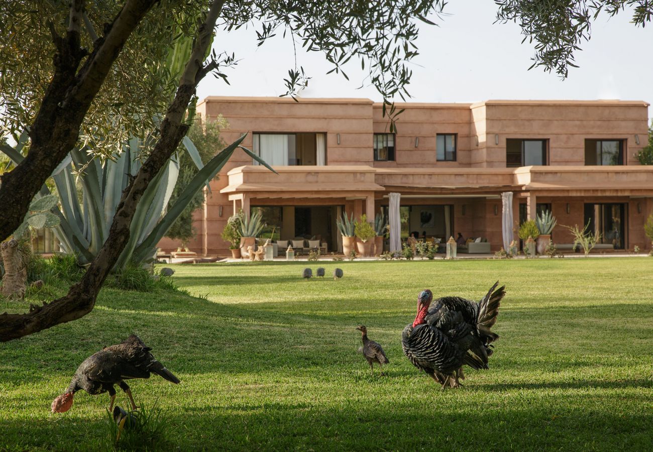 Villa in Marrakech - MISH-MISH Villa in Marrakech - MISH-MISH