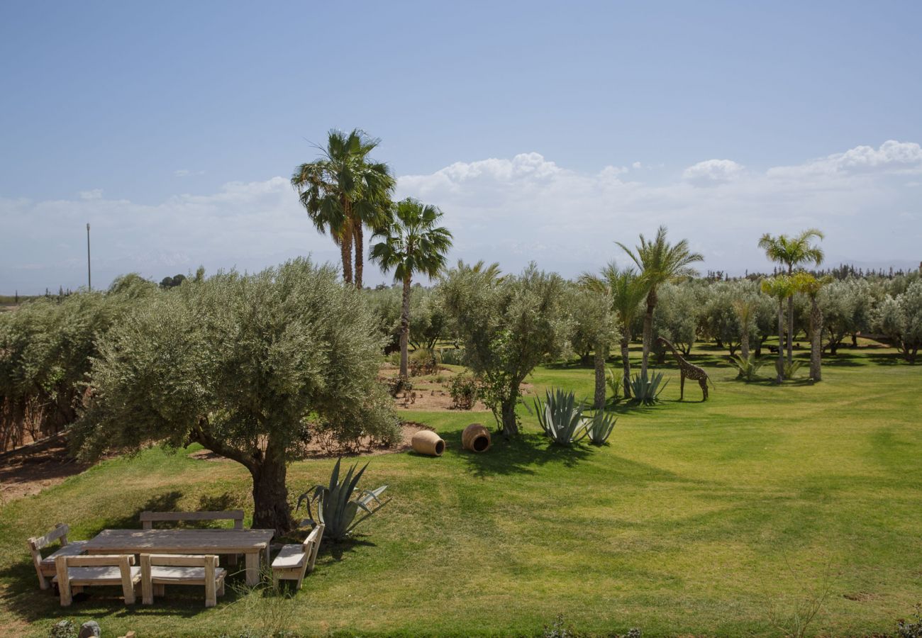 Villa in Marrakech - MISH-MISH Villa in Marrakech - MISH-MISH