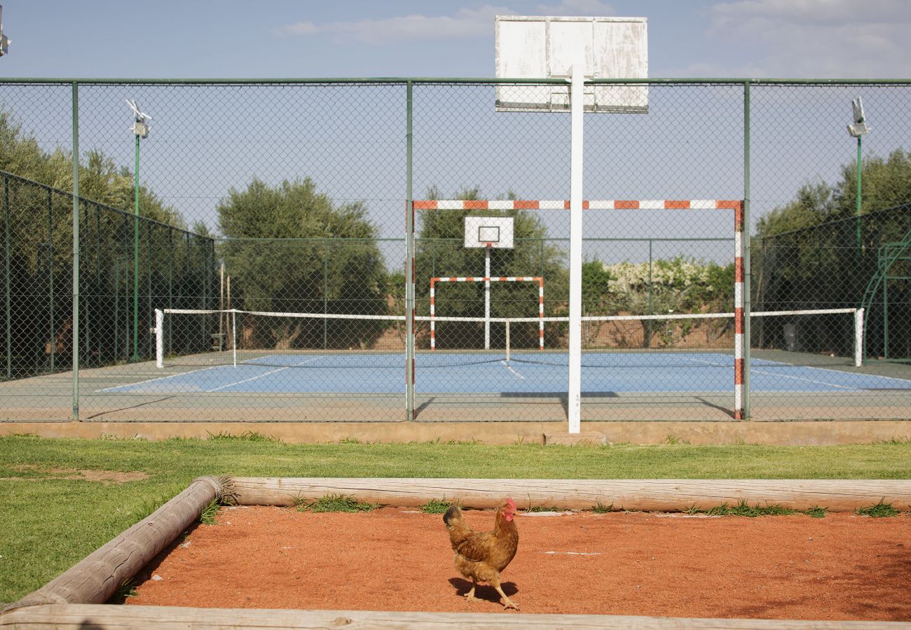 Villa in Marrakech - MISH-MISH Villa in Marrakech - MISH-MISH