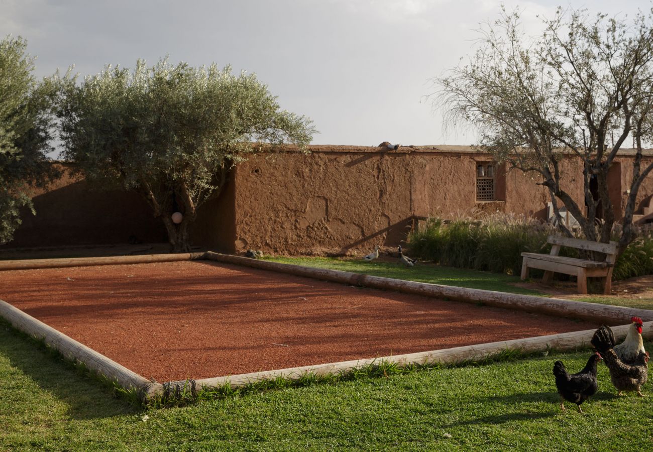 Villa in Marrakech - MISH-MISH Villa in Marrakech - MISH-MISH