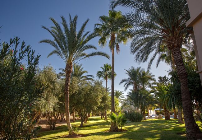 Villa in Marrakech - MAGGY ROSE Villa in Marrakech - MAGGY ROSE