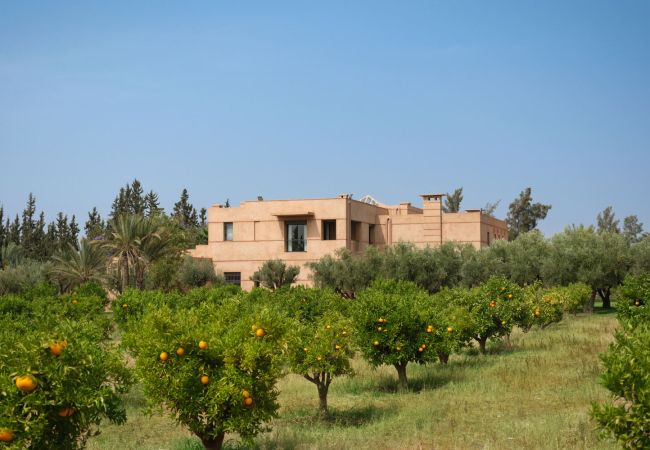 Villa in Marrakech - TAMARI MARRAKECH Villa in Marrakech - TAMARI MARRAKECH
