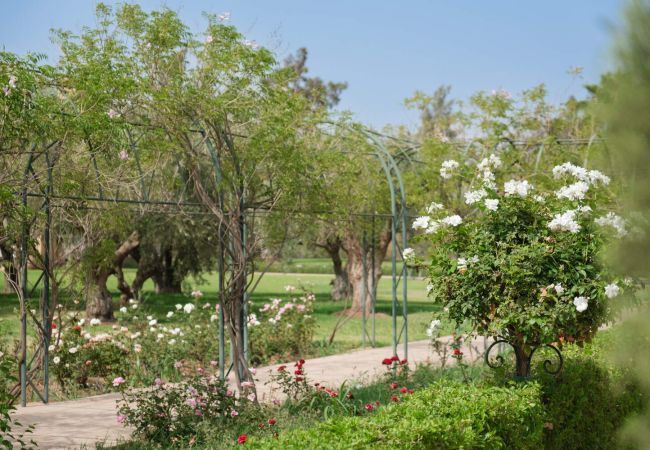 Villa in Marrakech - TAMARI MARRAKECH Villa in Marrakech - TAMARI MARRAKECH