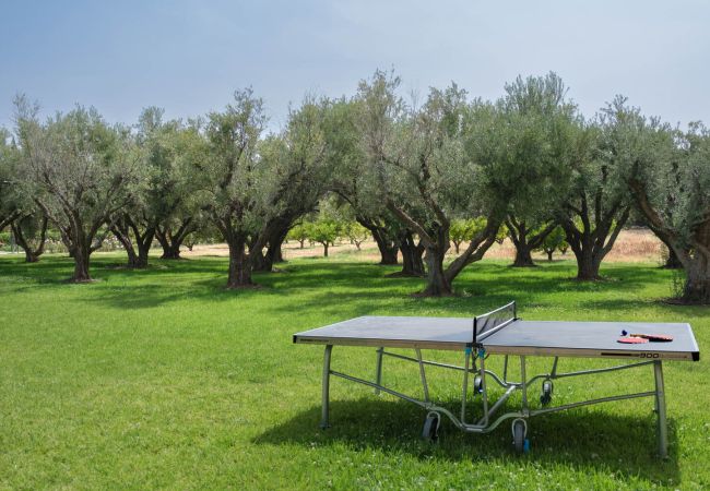 Villa in Marrakech - TAMARI MARRAKECH Villa in Marrakech - TAMARI MARRAKECH