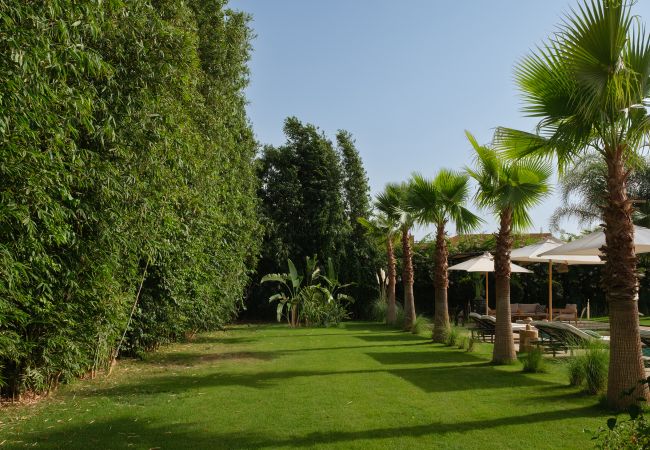 Villa in Marrakech - NETUMIA MARRAKECH Villa in Marrakech - NETUMIA MARRAKECH