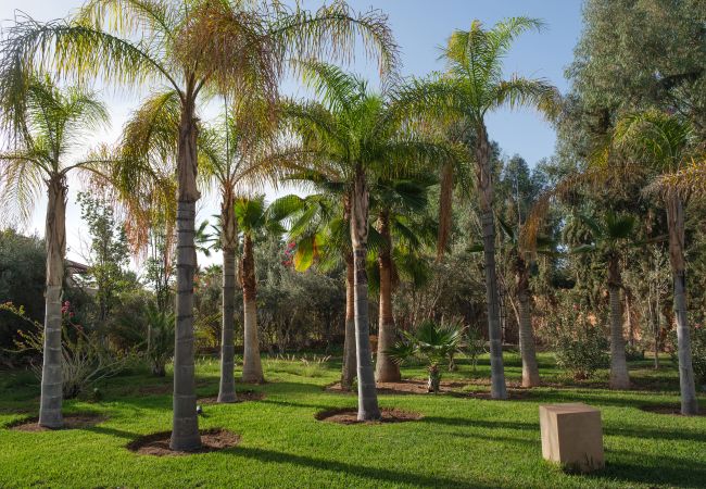 Villa in Marrakech - Villa ANIA Marrakech Villa in Marrakech - Villa ANIA Marrakech