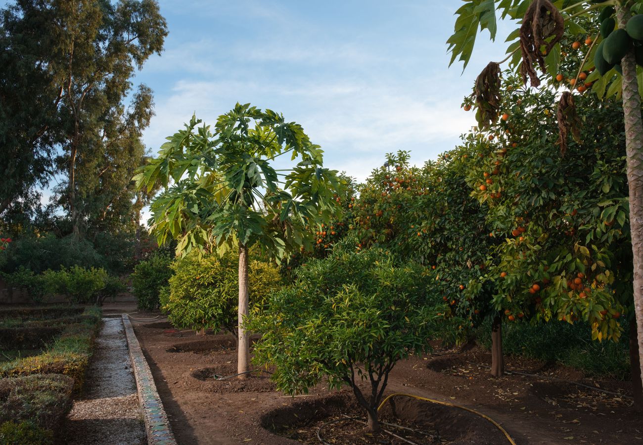 Villa in Marrakech - MAJDOU Marrakech Villa in Marrakech - MAJDOU Marrakech
