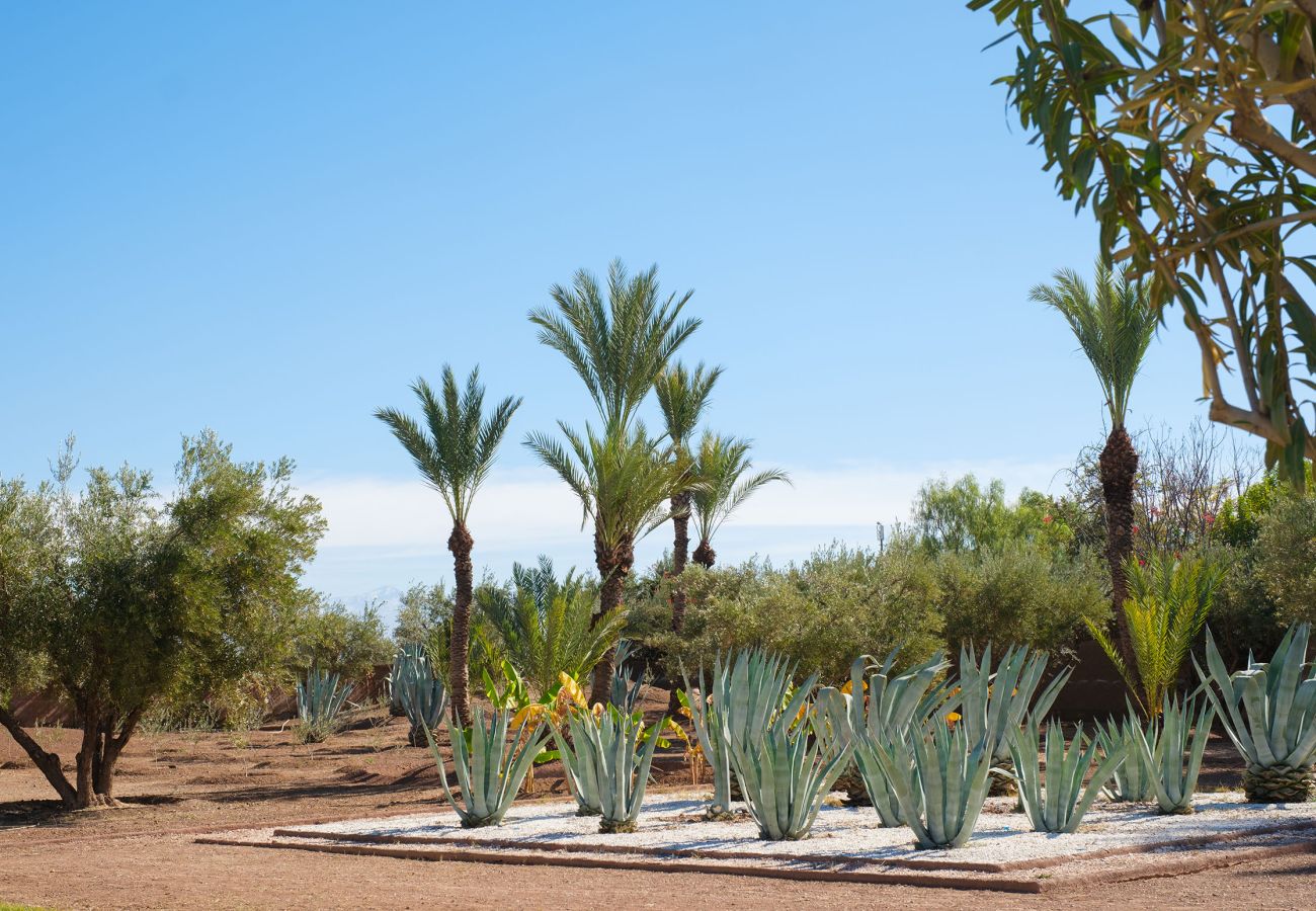 Villa in Marrakech - MAJDOU Marrakech Villa in Marrakech - MAJDOU Marrakech