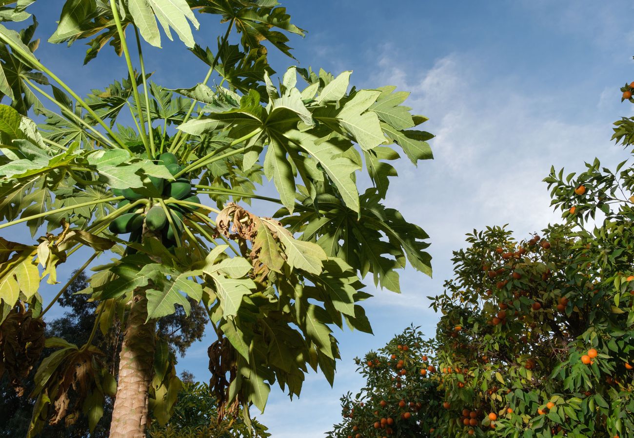 Villa in Marrakech - MAJDOU Marrakech Villa in Marrakech - MAJDOU Marrakech