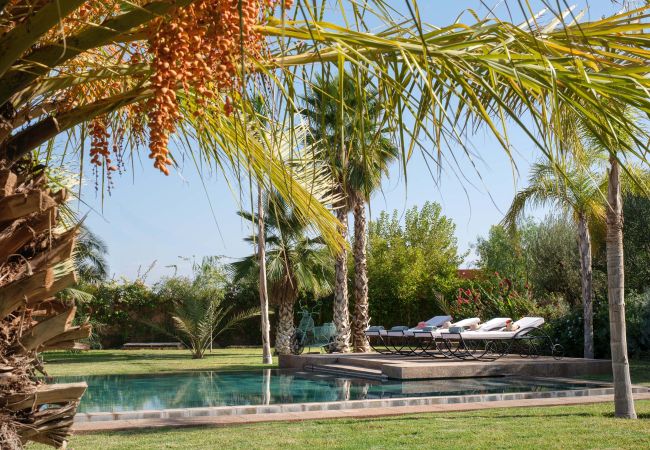 Villa in Marrakech - Villa SHELTER - MARRAKECH Villa in Marrakech - Villa SHELTER - MARRAKECH