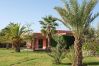 Villa in Marrakech - Villa SHELTER - MARRAKECH