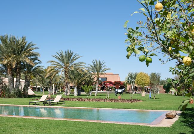 Villa in Marrakech - Tifernine 9 Villa in Marrakech - Tifernine 9