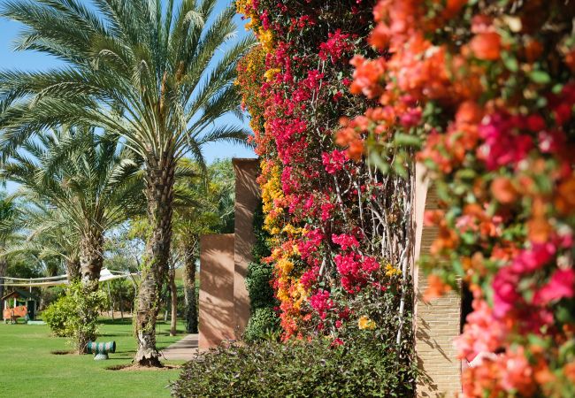 Villa in Marrakech - Tifernine 9 Villa in Marrakech - Tifernine 9