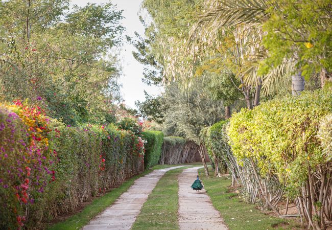 Villa in Marrakech - Tifernine 9 Villa in Marrakech - Tifernine 9