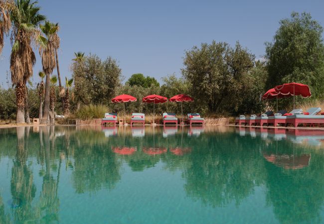 Villa in Marrakech - DAR TANIA Villa in Marrakech - DAR TANIA