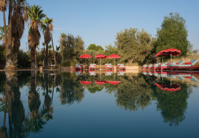 Villa in Marrakech - DAR TANIA Villa in Marrakech - DAR TANIA