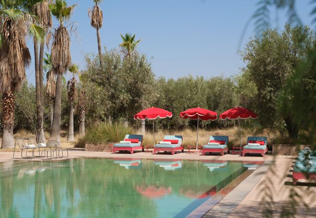 Villa in Marrakech - DAR TANIA Villa in Marrakech - DAR TANIA