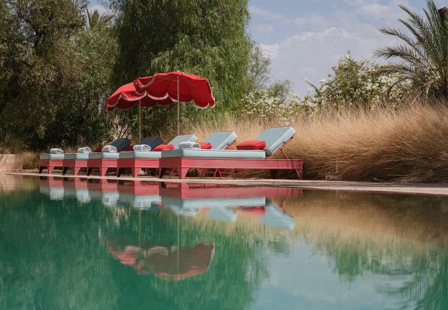 Villa in Marrakech - DAR TANIA Villa in Marrakech - DAR TANIA