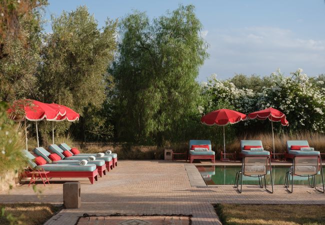 Villa in Marrakech - DAR TANIA Villa in Marrakech - DAR TANIA