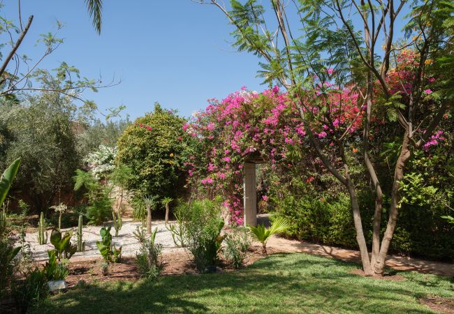 Villa in Marrakech - Monica Villa in Marrakech - Monica
